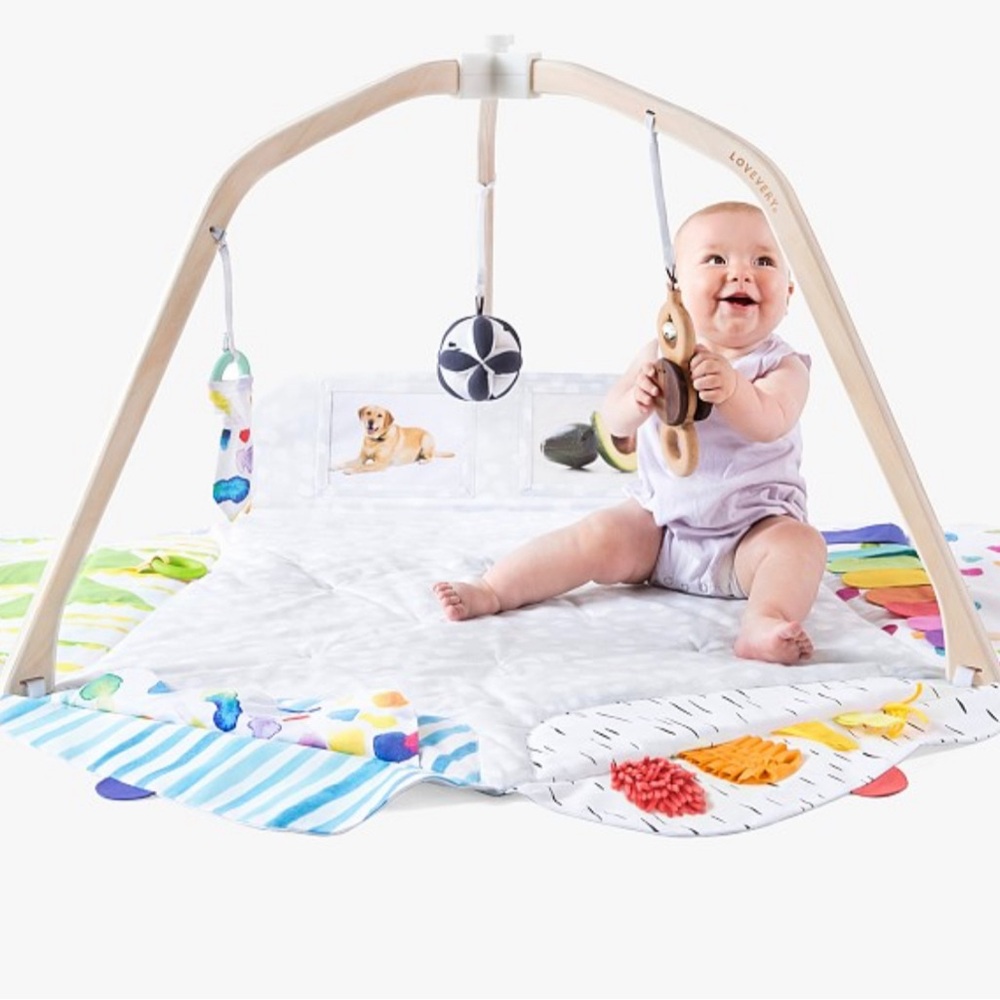 Lovevery Play Gym